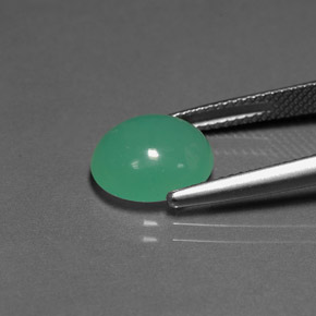 Chrysoprase vert naturelle transparent, 3,50 ct, transparent / translucide