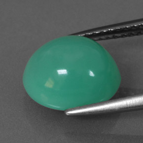Chrysoprase vert naturelle coupe ovale, 4,62 ct, translucide