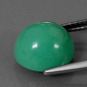 Chrysoprase vert naturelle coupe ovale, 5,73 ct, opaque