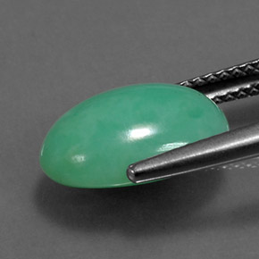 Chrysoprase vert naturelle coupe ovale, 4,43 ct, opaque