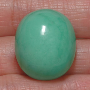 Chrysoprase vert naturelle coupe ovale, 39,50 ct, opaque