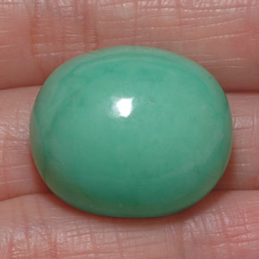 Chrysoprase vert naturelle coupe ovale, 39,50 ct, opaque