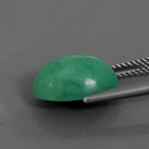 Chrysoprase vert naturelle coupe ovale, 5,69 ct, opaque