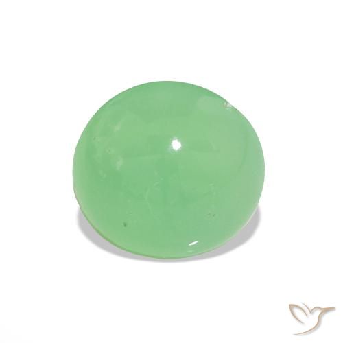 Chrysoprase Vert jaunâtre pâle naturelle Coupe roude, 1.55 ct, Translucide