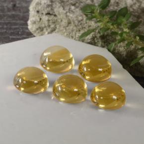 Achetez naturel ct or citrine gems, coupe roude, en provenance brésil chez gemselect. en stock, livraison internationale!