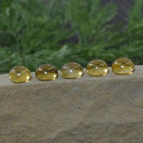 Achetez naturel 11,14ct jaune citrine gems, coupe roude, en provenance brésil chez gemselect. en stock, livraison internationale!