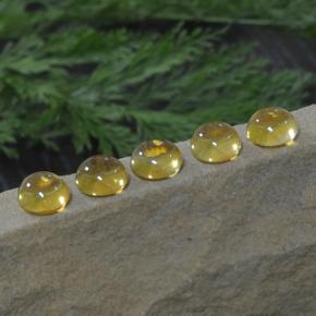 Achetez naturel 11,14ct jaune citrine gems, coupe roude, en provenance brésil chez gemselect. en stock, livraison internationale!