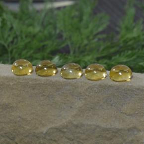 Achetez naturel 11,14ct jaune citrine gems, coupe roude, en provenance brésil chez gemselect. en stock, livraison internationale!