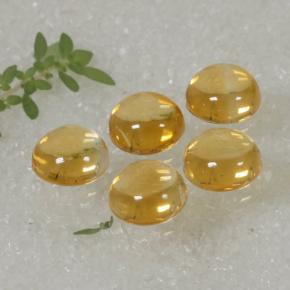 Achetez naturel 10,14ct jaune citrine gems, coupe roude, en provenance brésil chez gemselect. en stock, livraison internationale!