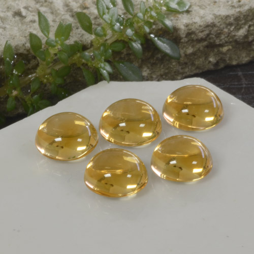 Achetez naturel 10,33ct doré citrine gems, coupe roude, en provenance brésil chez gemselect. en stock, livraison internationale!