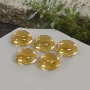 Achetez naturel 10,33ct doré citrine gems, coupe roude, en provenance brésil chez gemselect. en stock, livraison internationale!