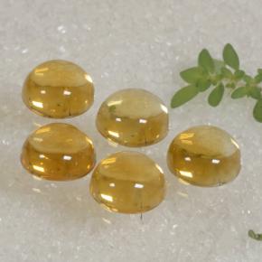 Achetez naturel 10,94ct doré citrine gems, coupe roude, en provenance brésil chez gemselect. en stock, livraison internationale!