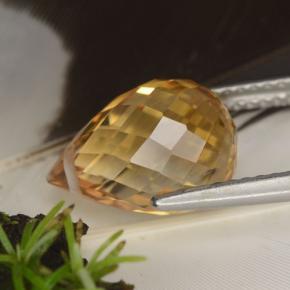 Citrine doré naturelle briolette, 4,47 ct, VVS-VS