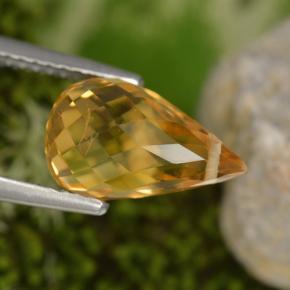 Citrine jaune naturelle briolette, 3,48 ct, VS