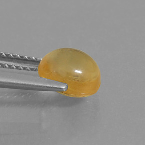 Citrine jaune naturelle coupe ovale, 1,71 ct, transparent