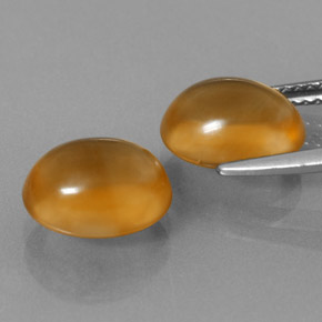 Achetez naturel 5,89ct doré citrine gems, coupe ovale, en provenance brésil chez gemselect. en stock, livraison internationale!