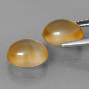 Achetez naturel 5,96ct doré citrine gems, coupe ovale, en provenance brésil chez gemselect. en stock, livraison internationale!