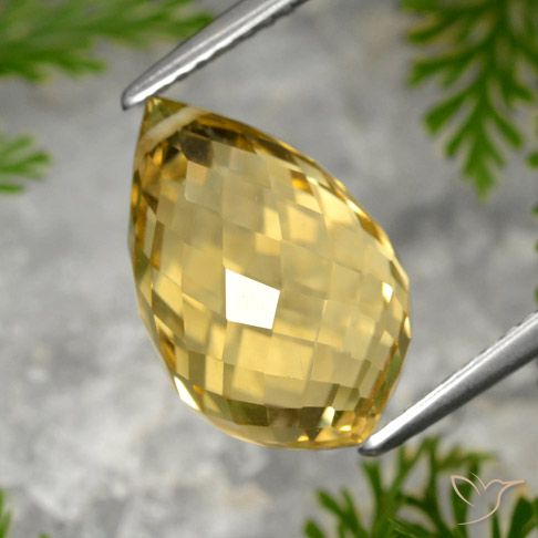 8.48ct Naturel Doré moyen Citrine, Briolette, VVS