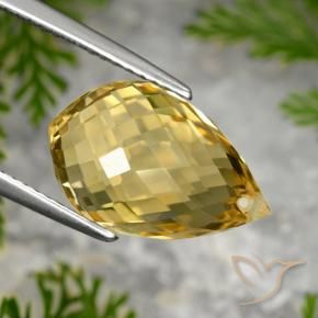 Citrine Doré moyen naturelle Briolette, 8.48 ct, VVS