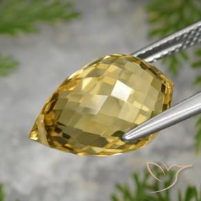 Citrine Doré moyen naturelle Briolette, 8.48 ct, VVS