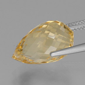 Citrine doré naturelle briolette, 9,84 ct, VVS