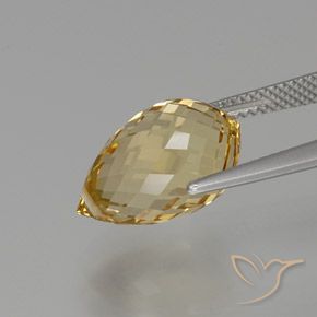 Citrine Doré léger naturelle Briolette, 8.00 ct, VVS-VS