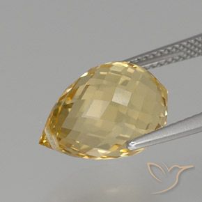 Citrine Doré naturelle Briolette, 7.97 ct, VS