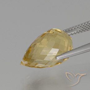 Citrine Orange Doré naturelle Briolette, 8.08 ct, VVS-VS