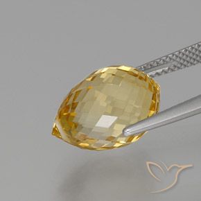 Citrine Doré léger naturelle Briolette, 7.78 ct, VVS
