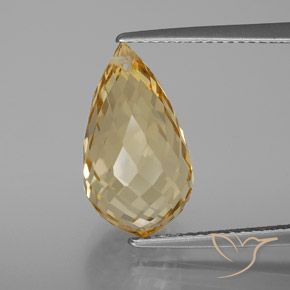 7.22ct Naturel Doré Citrine, Briolette, VVS