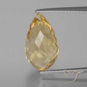 7.35ct Naturel Doré léger Citrine, Briolette, VVS