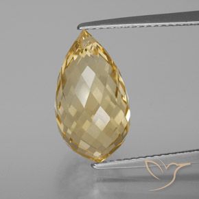 Citrine Doré léger naturelle Briolette, 7.30 ct, VVS-VS