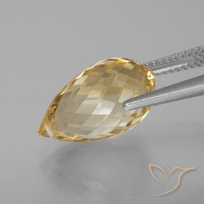 Citrine Doré léger naturelle Briolette, 7.30 ct, VVS-VS