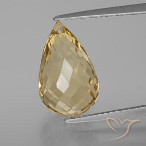 8.24ct Naturel Doré léger Citrine, Briolette, VVS-VS
