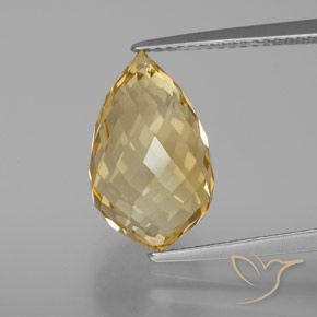 Citrine Doré brunâtre léger naturelle Briolette, 7.56 ct, VVS