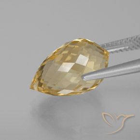 Citrine Doré brunâtre léger naturelle Briolette, 7.56 ct, VVS