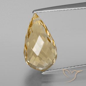 Citrine Orange doré naturelle Briolette, 4.93 ct, VS