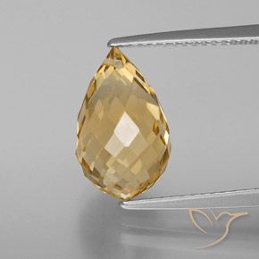 Citrine Doré naturelle Briolette, 5.05 ct, VVS-VS