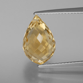 Citrine orange doré naturelle briolette, 5,50 ct, VVS-VS