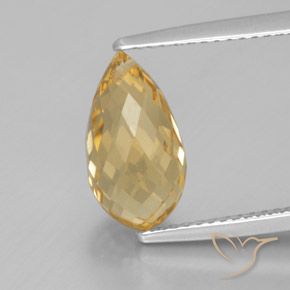 3.49ct Naturel Orange doré Citrine, Briolette, VVS