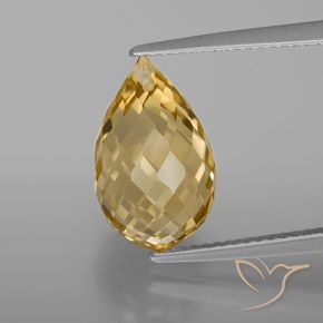 6.04ct Naturel Or moyen-léger Citrine, Briolette, VVS