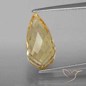 Citrine Orange doré naturelle Briolette, 5.42 ct, VVS-VS
