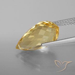 Citrine Orange doré naturelle Briolette, 5.42 ct, VVS-VS