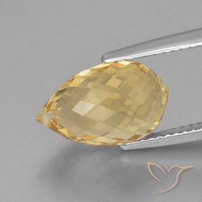 Citrine Doré vif naturelle Briolette, 5.49 ct, VVS