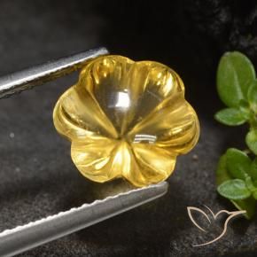 Citrine Doré moyen naturelle Taille Fleur, 3.34 ct, Transparent