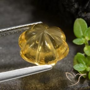 Citrine Doré moyen naturelle Taille Fleur, 3.34 ct, Transparent