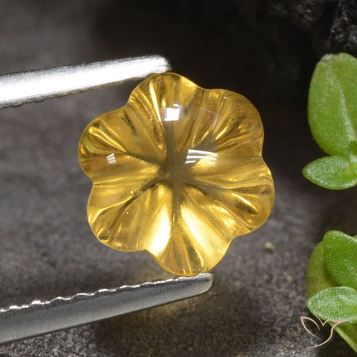Citrine Doré moyen naturelle Taille Fleur, 1.66 ct, Transparent