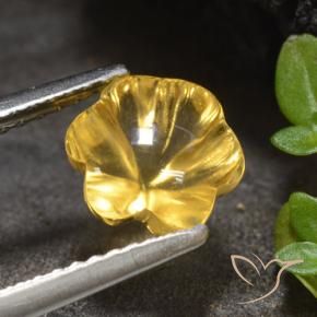 Citrine Doré moyen naturelle Taille Fleur, 1.66 ct, Transparent