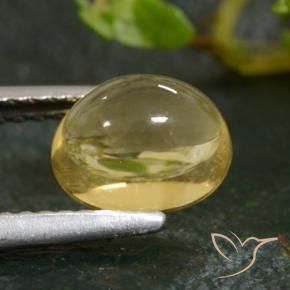 Citrine Doré léger naturelle ovale, 1.76 ct, Transparent