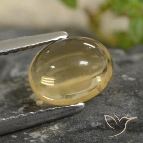 Citrine Doré léger naturelle ovale, 1.47 ct, Transparent